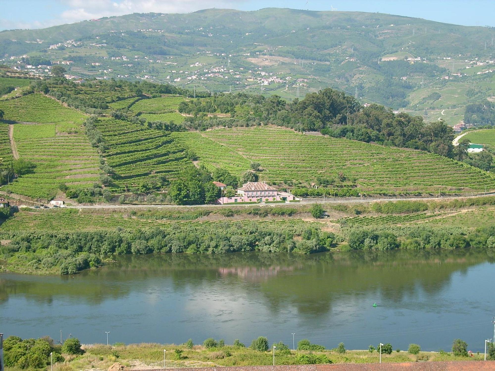 Casa Dos Varais, Manor House لاميغو المظهر الخارجي الصورة