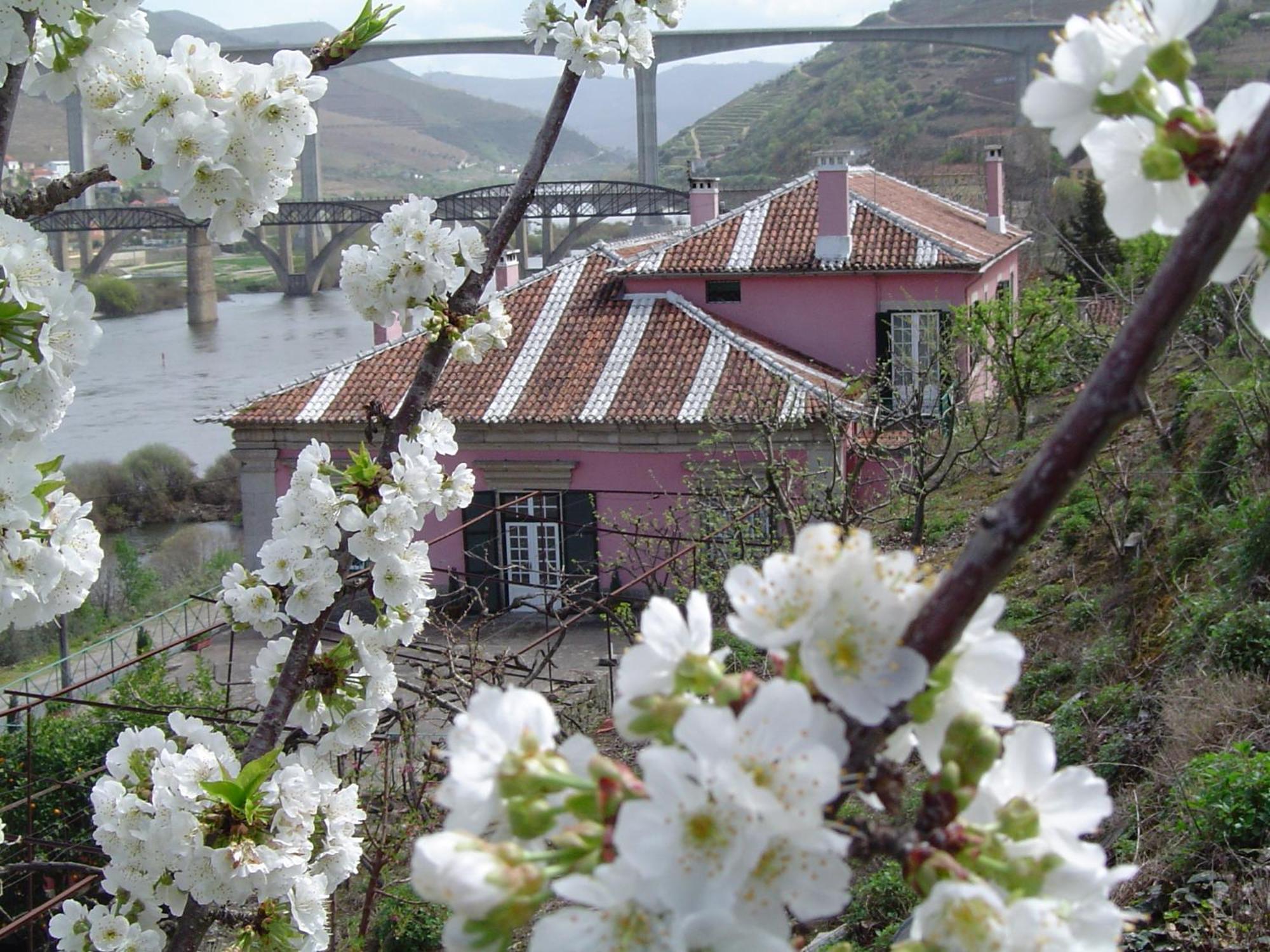 Casa Dos Varais, Manor House لاميغو المظهر الخارجي الصورة